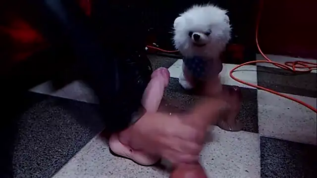 Hannamariana webcam