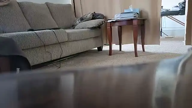 CDforU webcam