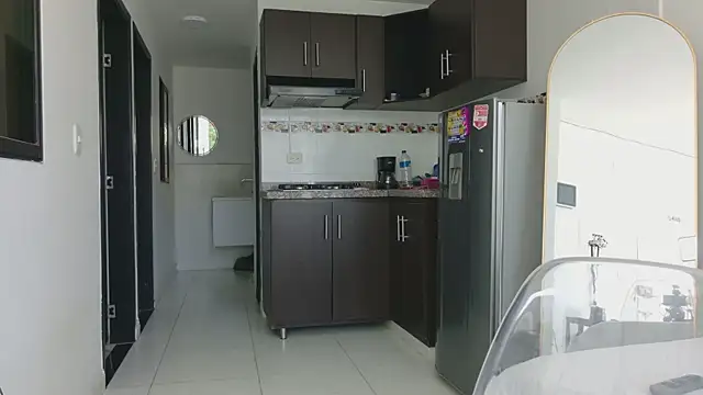 grey___27 webcam