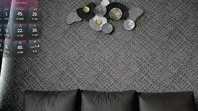 XValkyrieX webcam