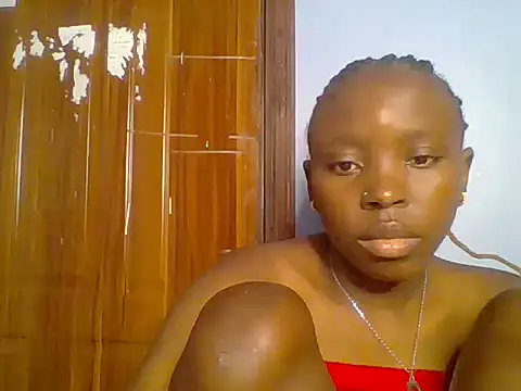 Chocolate-brownie webcam