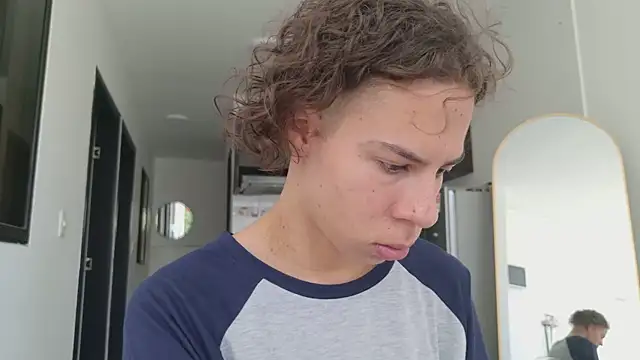 grey___27 webcam