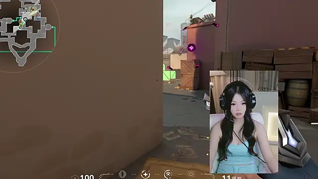 DAIDAI-520 webcam