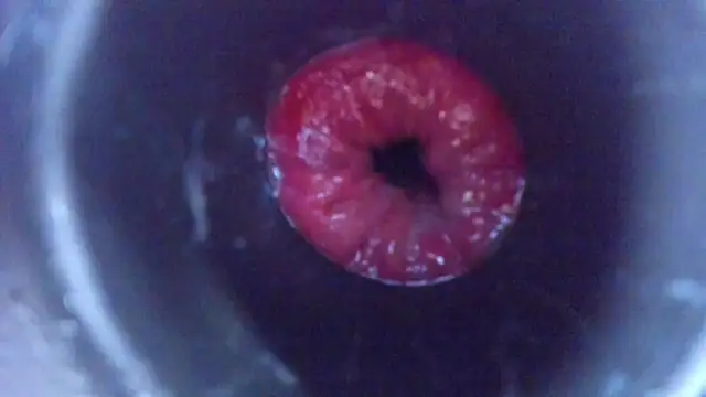 NikkaHOTx webcam