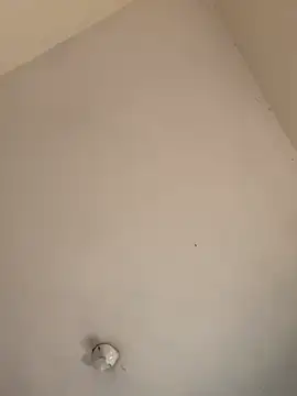 haily_babe webcam