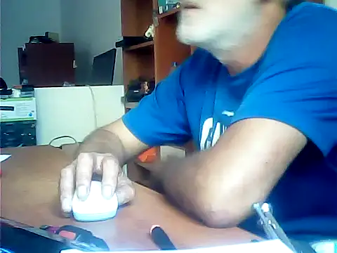 zormen355 webcam