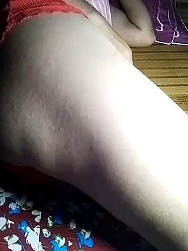 -sansan- webcam