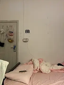 wly2028 webcam