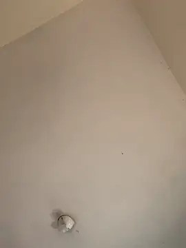 haily_babe webcam