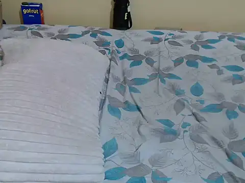 lynnsee webcam