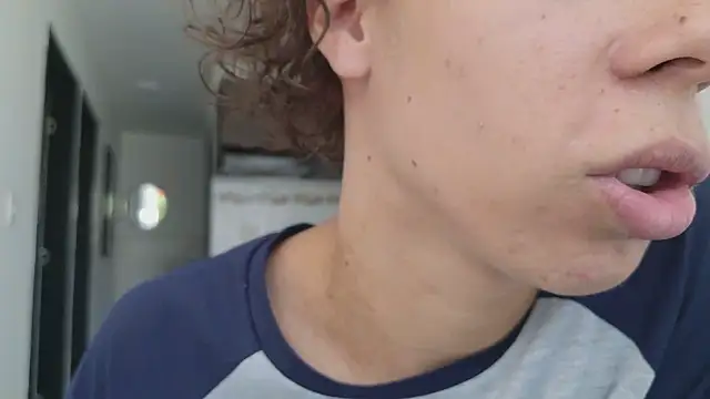 grey___27 webcam