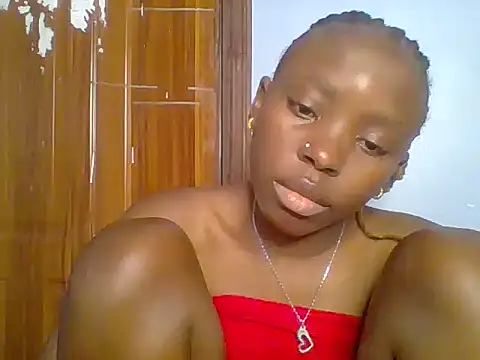 Chocolate-brownie webcam