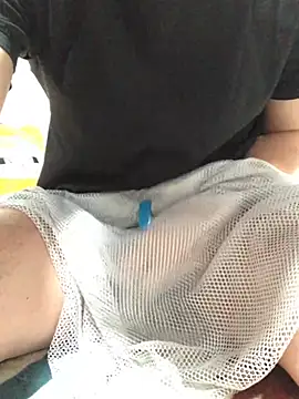 lion_pon webcam