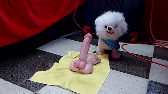 Hannamariana webcam