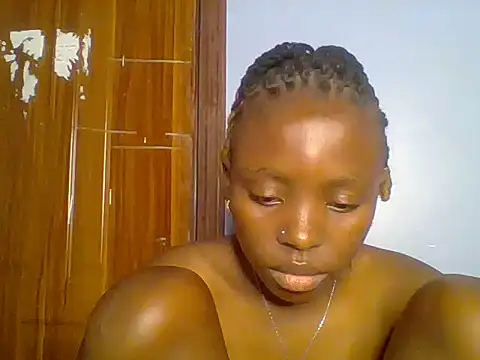 Chocolate-brownie webcam