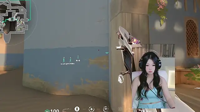 DAIDAI-520 webcam