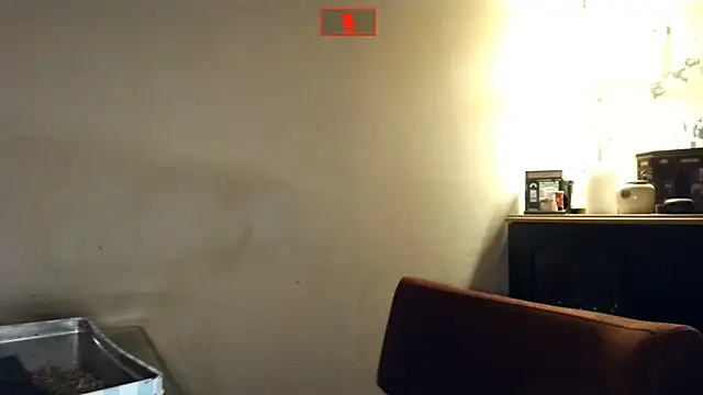 Hgay6935 webcam