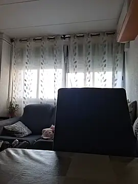 Javier_bear webcam
