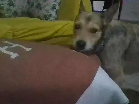 sherry_anne webcam