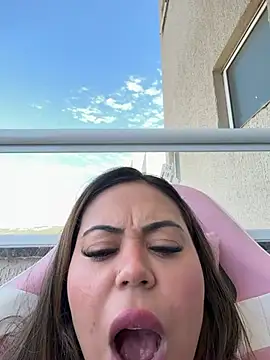 lariic webcam