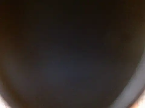 July_rosie webcam