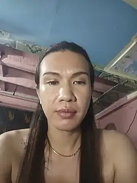 manilafoxts webcam