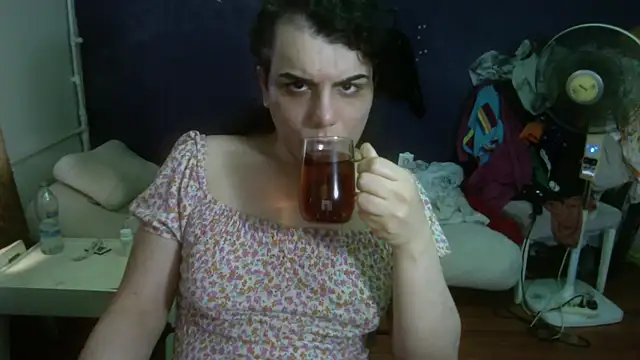 turkishTransEfsun webcam