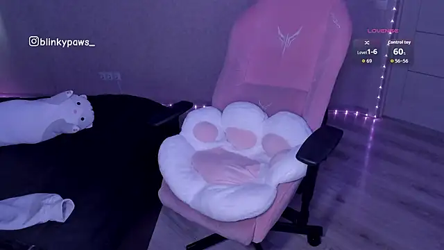 blinkypaws webcam