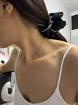 yuanpu0925 webcam
