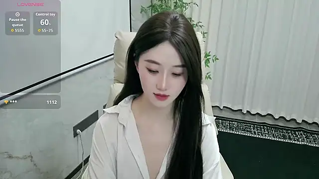 LUNYI-CC webcam