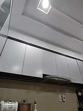 Fanritar webcam