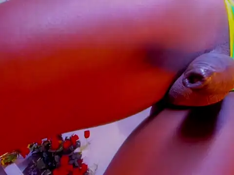 DAIRABIGCOCK99 webcam