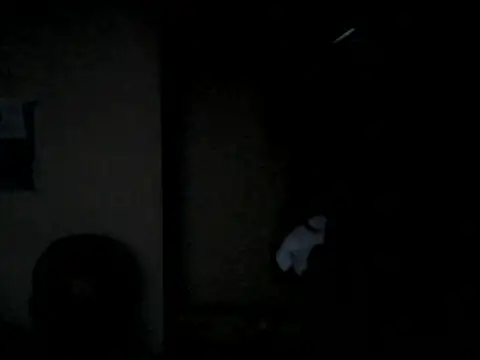 naodanuki webcam