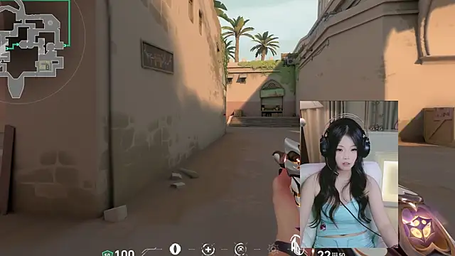 DAIDAI-520 webcam