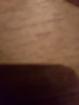 zabobi20cm webcam