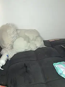 Selenee23 webcam