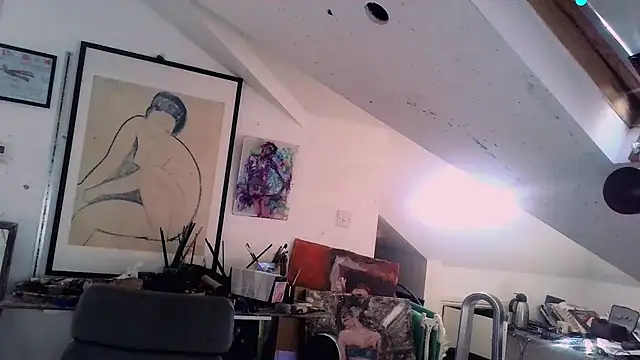 mista_sista_fista webcam