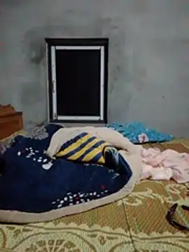 Tieuthu2 webcam