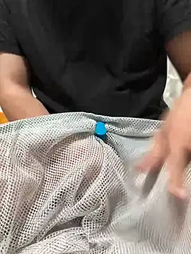 lion_pon webcam