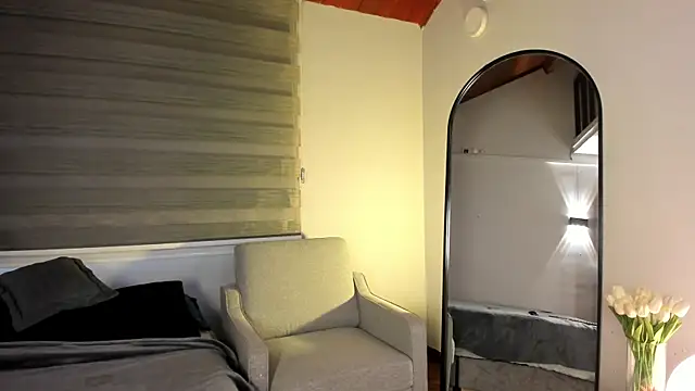 MERIDA_TAYLOR webcam