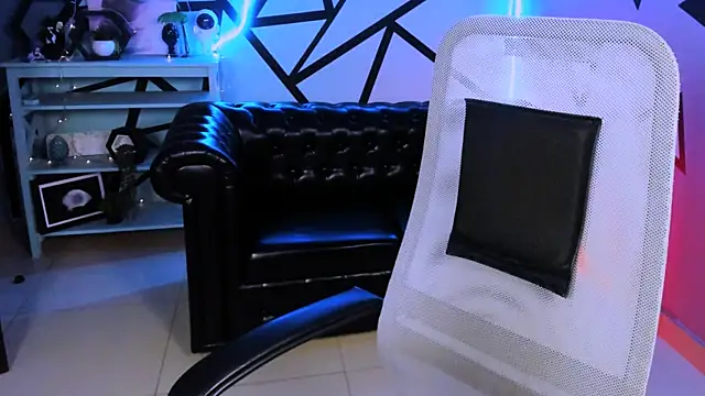LidaDarknet webcam