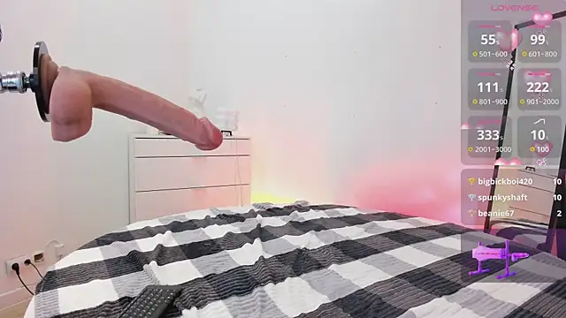 HoneyLace_ webcam