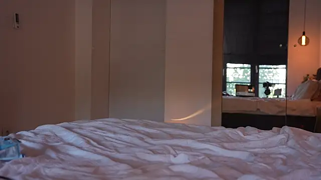 ibiddi webcam