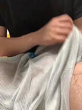 lion_pon webcam