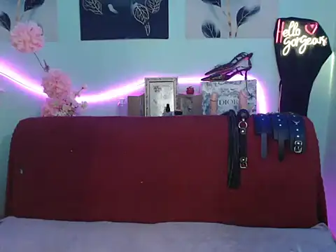 Demilame webcam