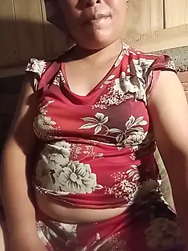 Ip34 webcam