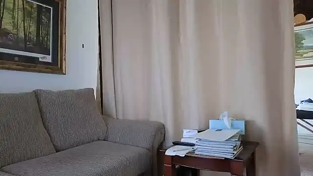 CDforU webcam