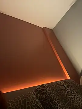 DarkDesin webcam