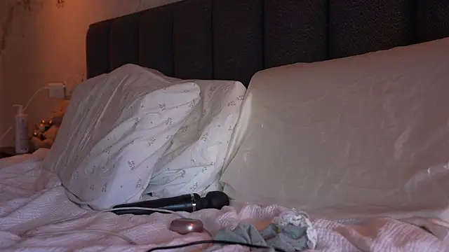 ibiddi webcam