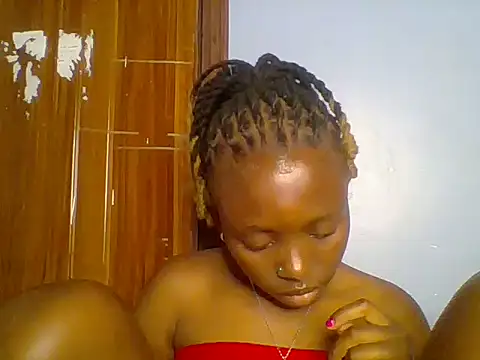 Chocolate-brownie webcam